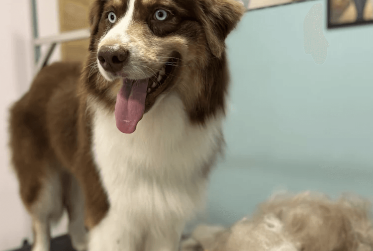 place-image-gallery-1