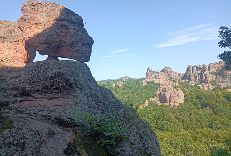 place-image-gallery-1