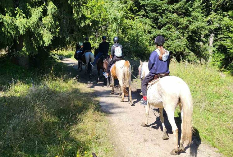 place-image-gallery-1