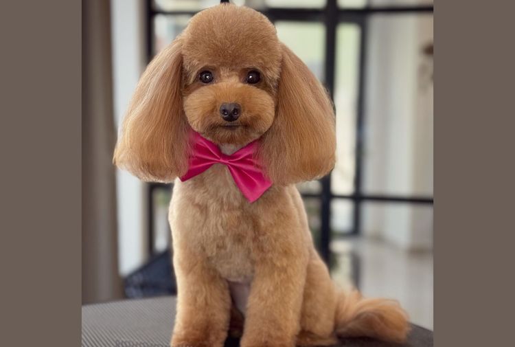 place-image-gallery-1