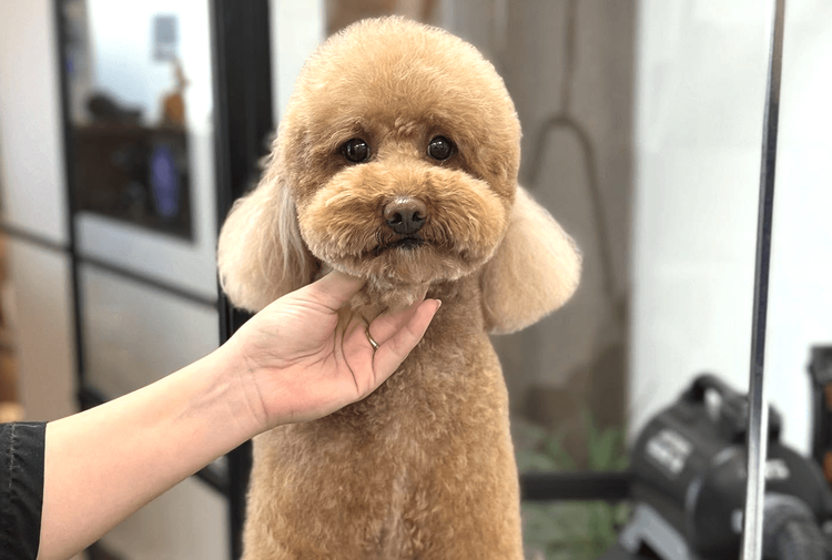 place-image-gallery-2