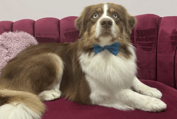 place-image-gallery-2