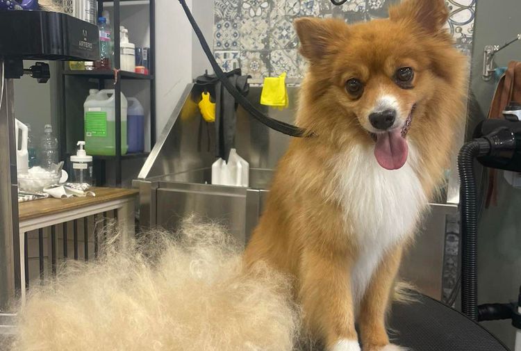 place-image-gallery-2