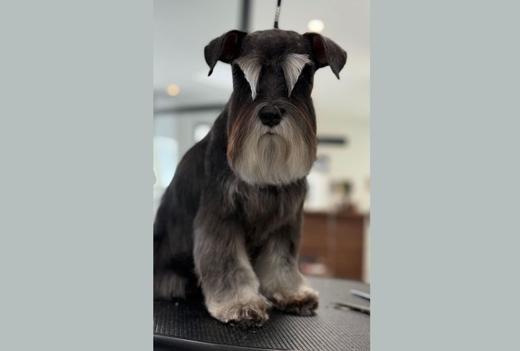 place-image-gallery-2