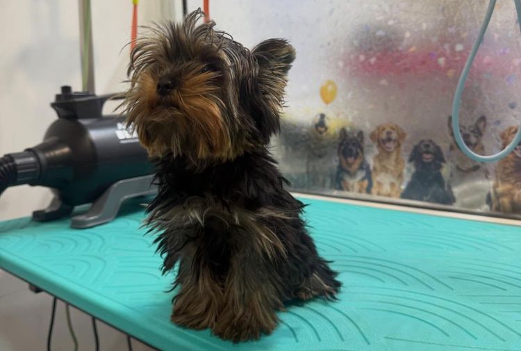 place-image-gallery-2