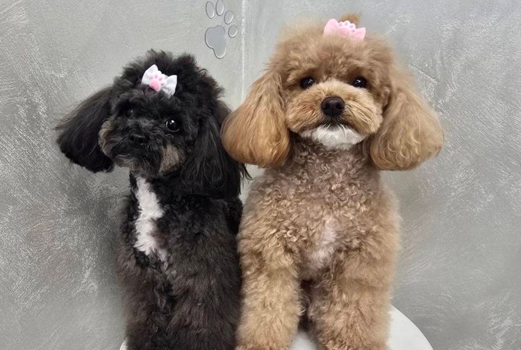 place-image-gallery-2