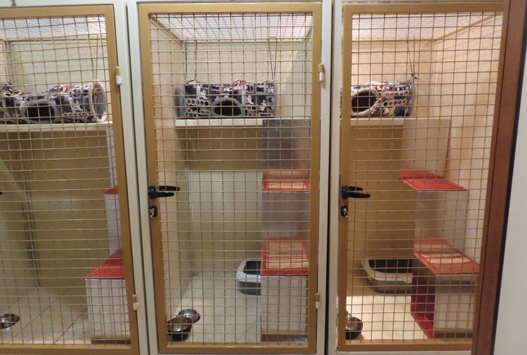 place-image-gallery-2