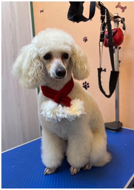 place-image-gallery-8