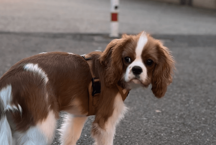 place-image-gallery-3