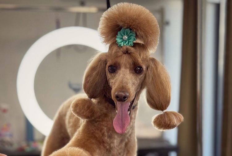 place-image-gallery-3