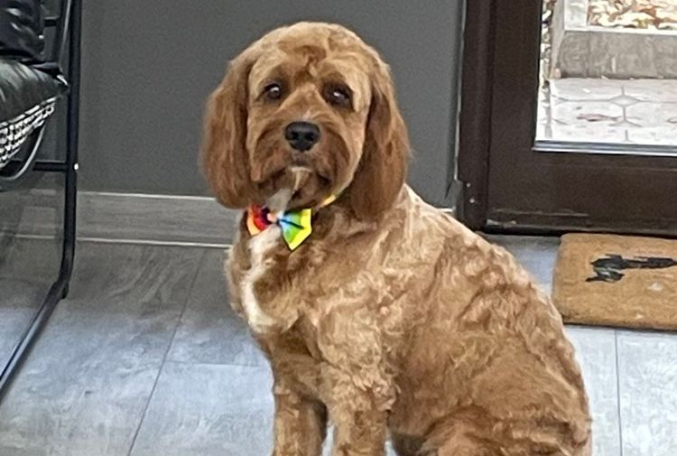 place-image-gallery-3