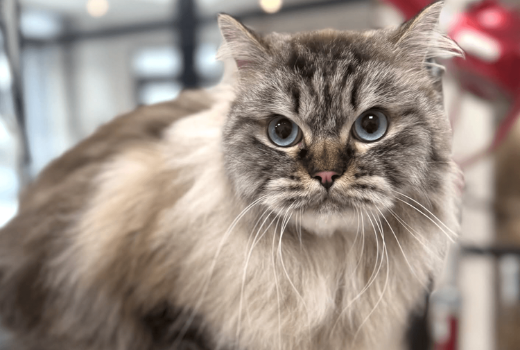 place-image-gallery-3