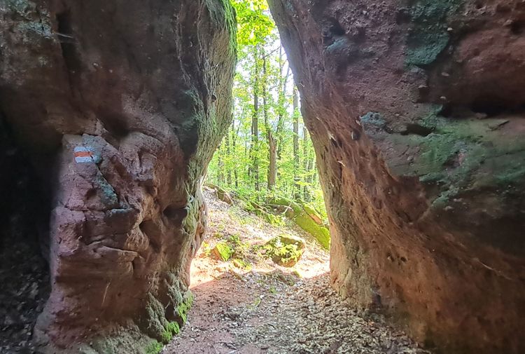 place-image-gallery-3