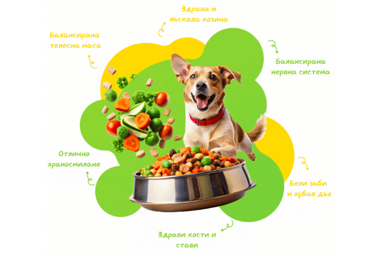 place-image-gallery-3