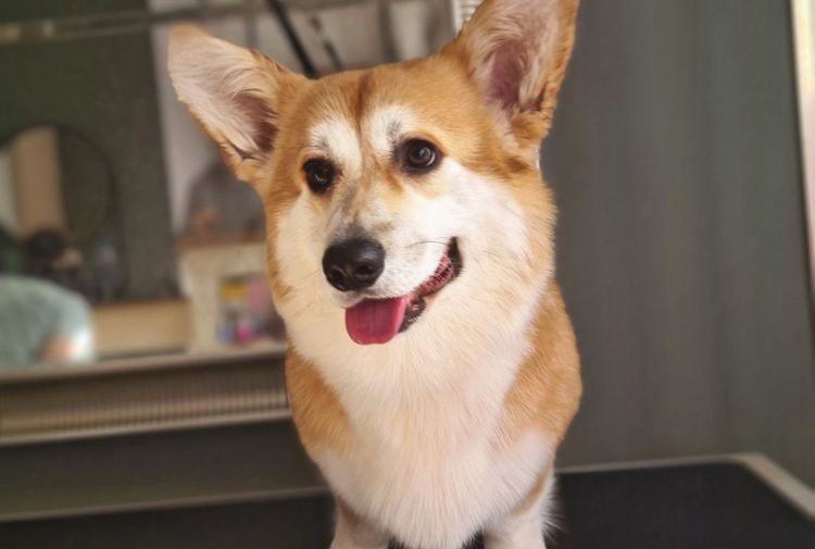 place-image-gallery-3