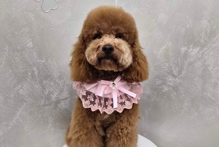 place-image-gallery-3