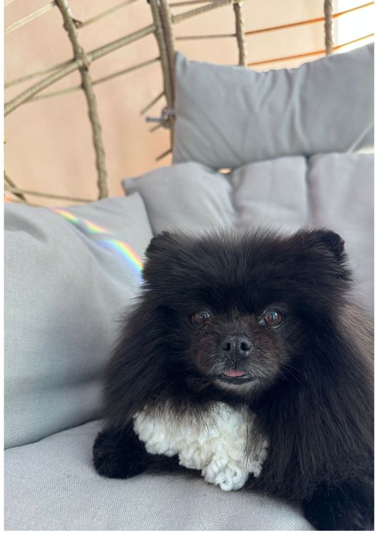 place-image-gallery-9