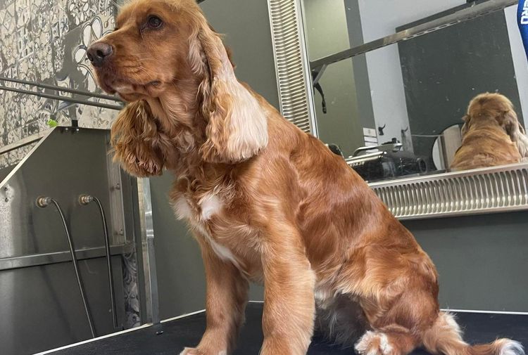 place-image-gallery-4