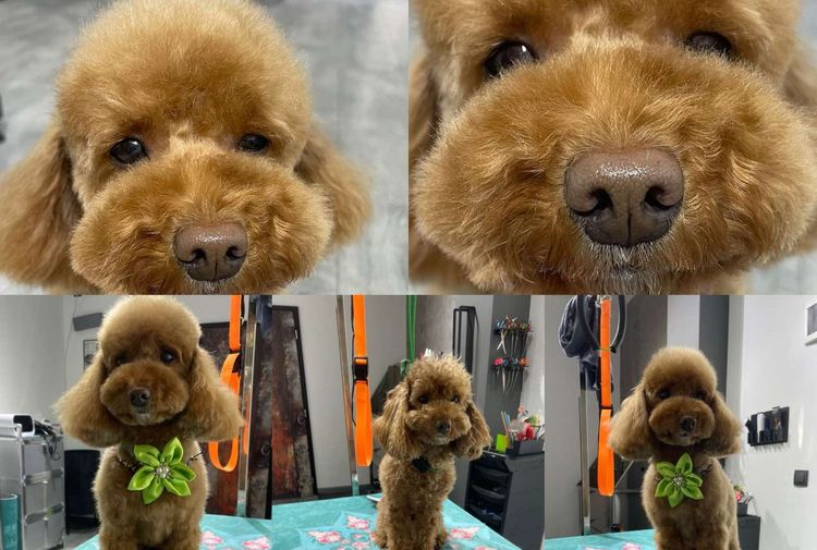 place-image-gallery-4