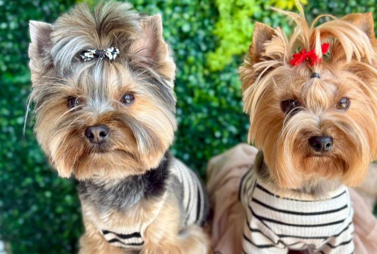 place-image-gallery-4