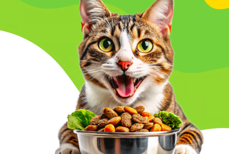 place-image-gallery-4