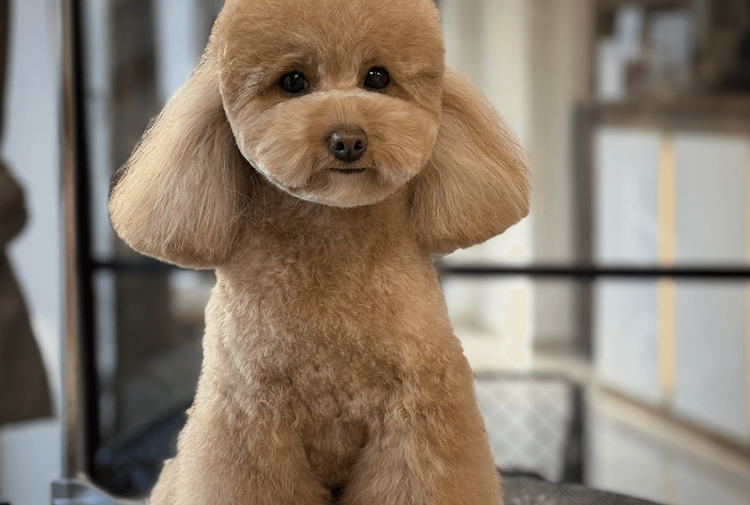 place-image-gallery-4