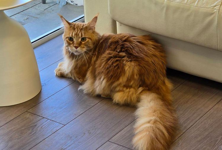 place-image-gallery-4