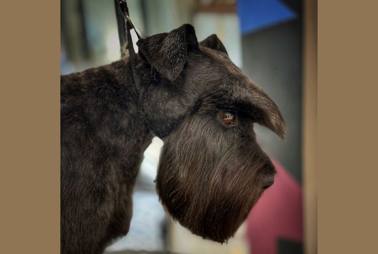 place-image-gallery-4