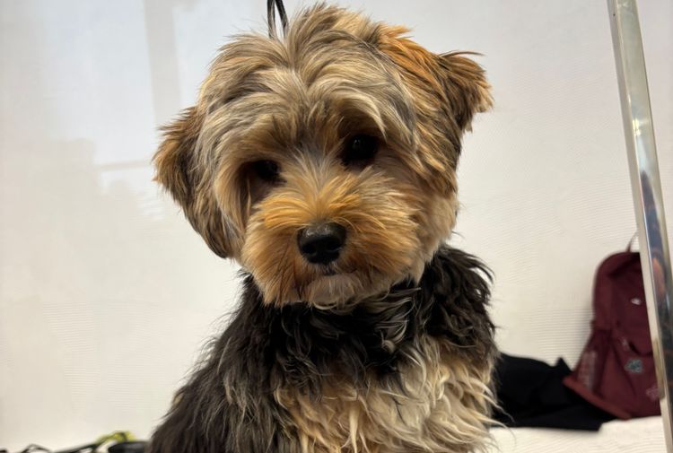 place-image-gallery-4