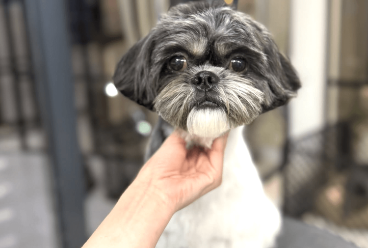 place-image-gallery-5