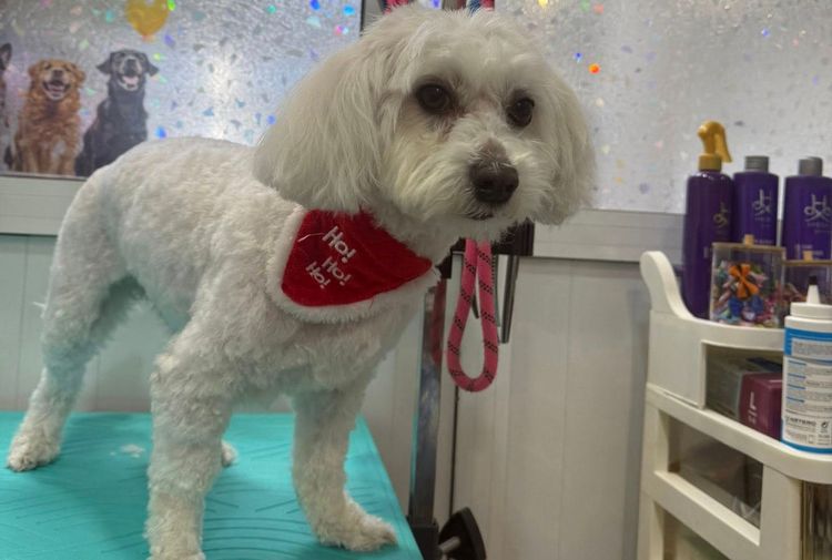 place-image-gallery-5