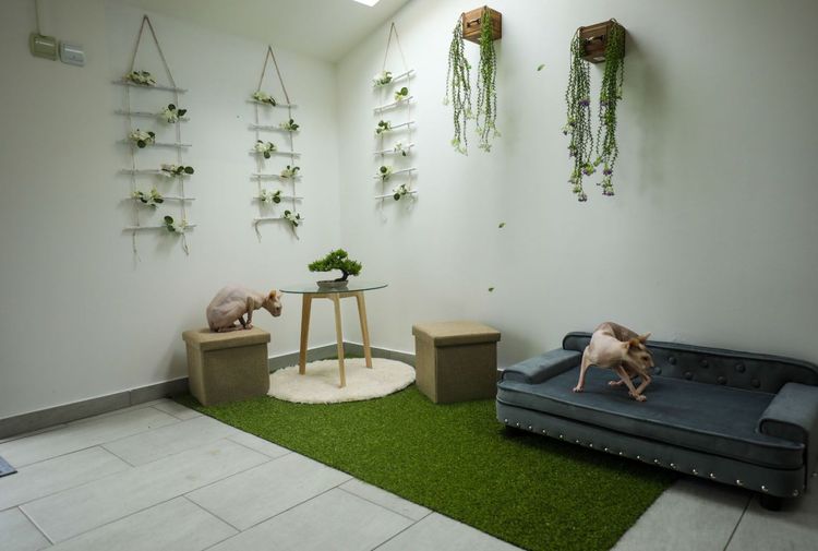 place-image-gallery-5
