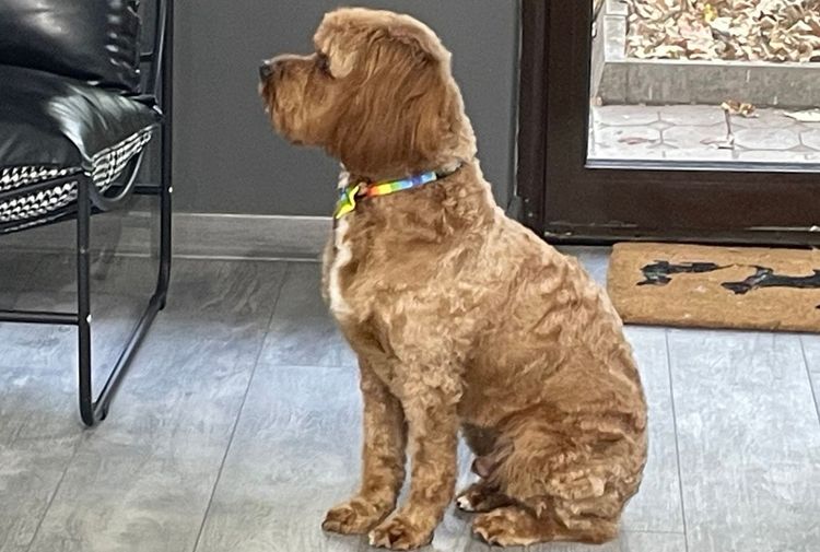 place-image-gallery-5