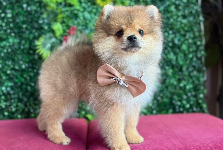 place-image-gallery-5