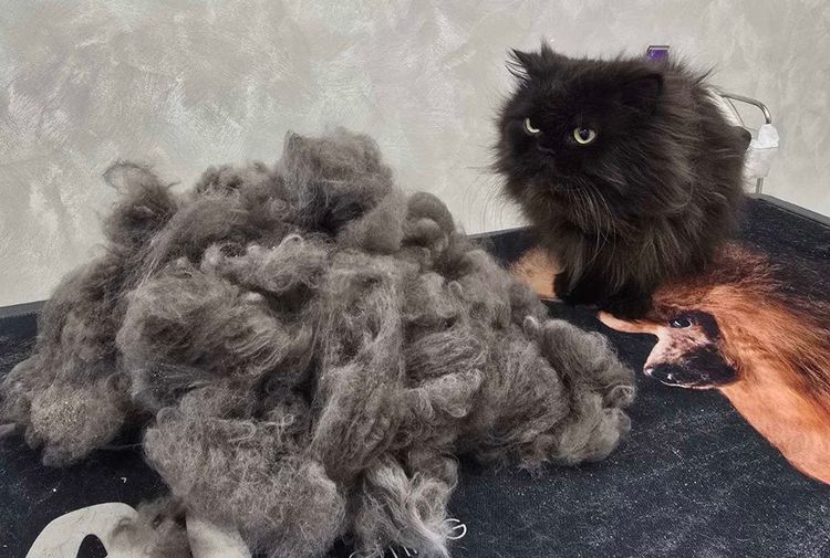 place-image-gallery-5