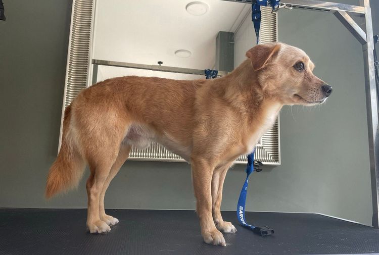 place-image-gallery-5