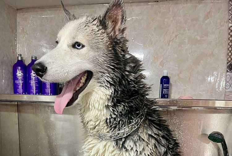 place-image-gallery-6