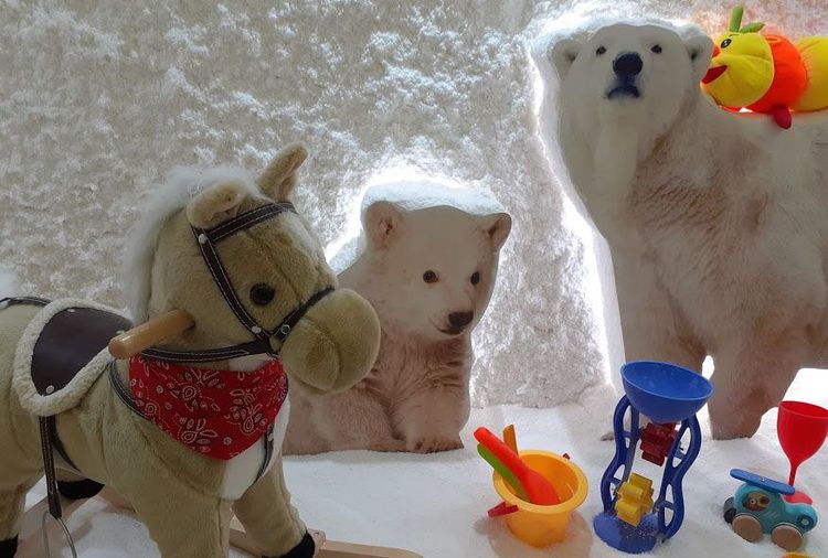 place-image-gallery-6