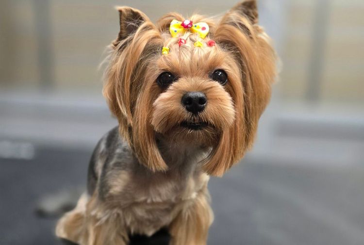 place-image-gallery-6