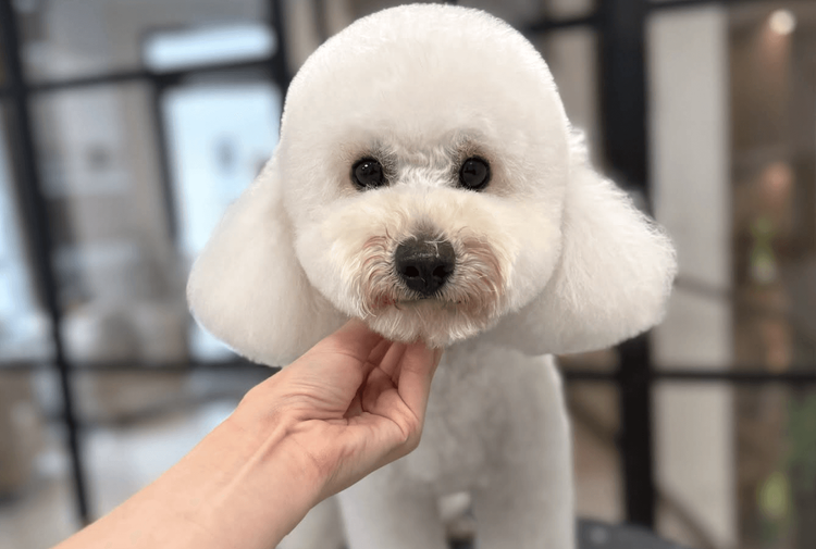 place-image-gallery-6