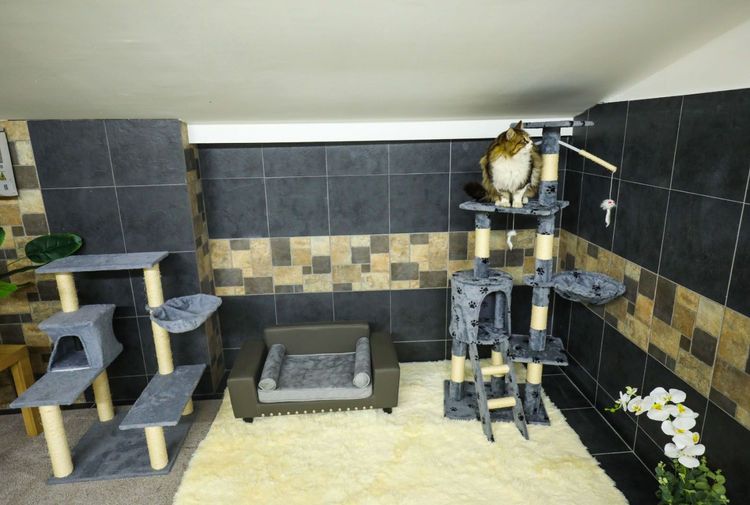 place-image-gallery-6