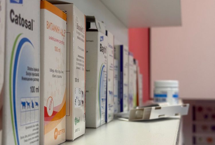 place-image-gallery-6