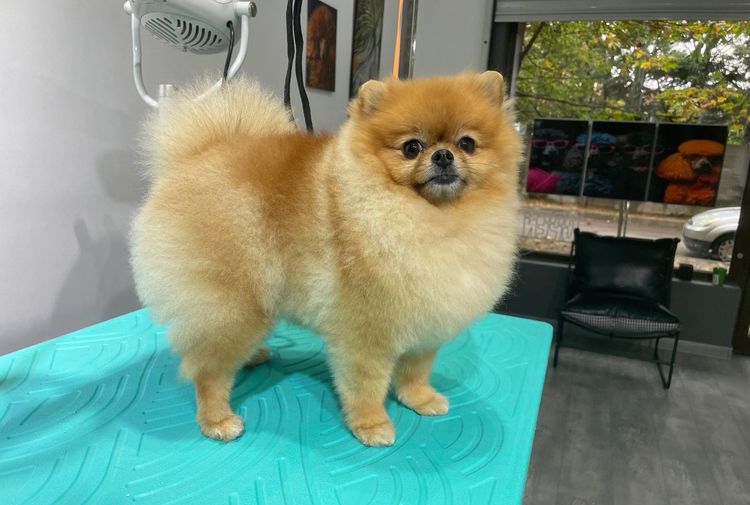 place-image-gallery-6