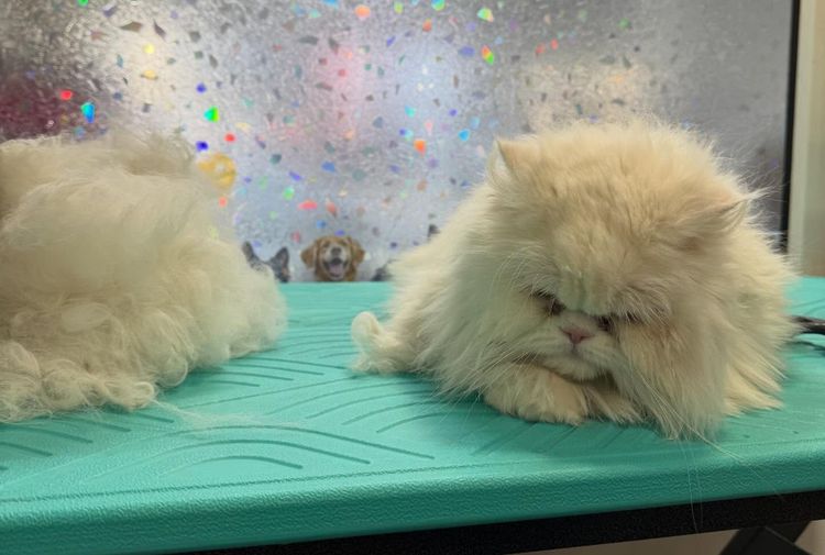 place-image-gallery-6