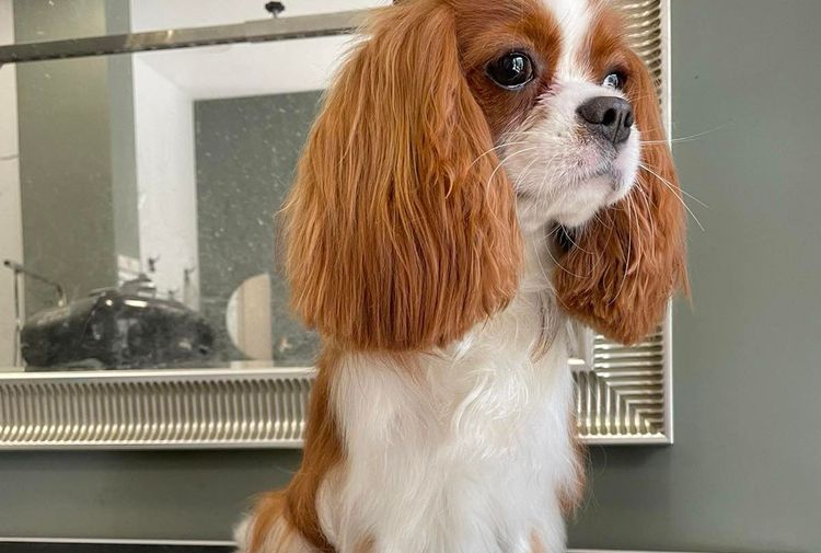 place-image-gallery-6