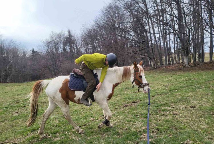 place-image-gallery-6