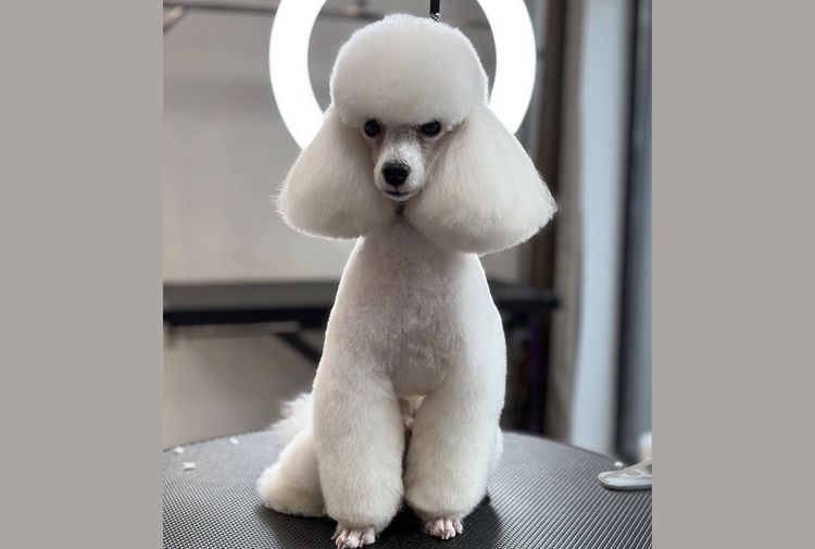 place-image-gallery-7