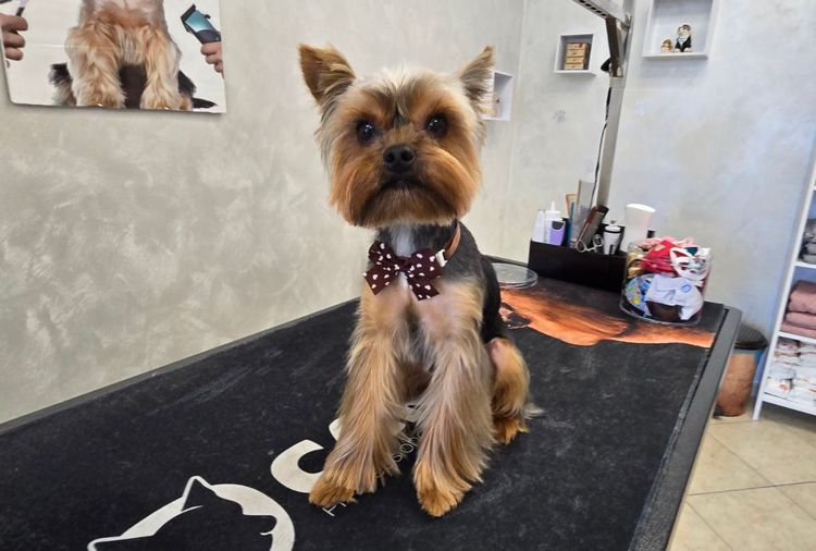 place-image-gallery-7