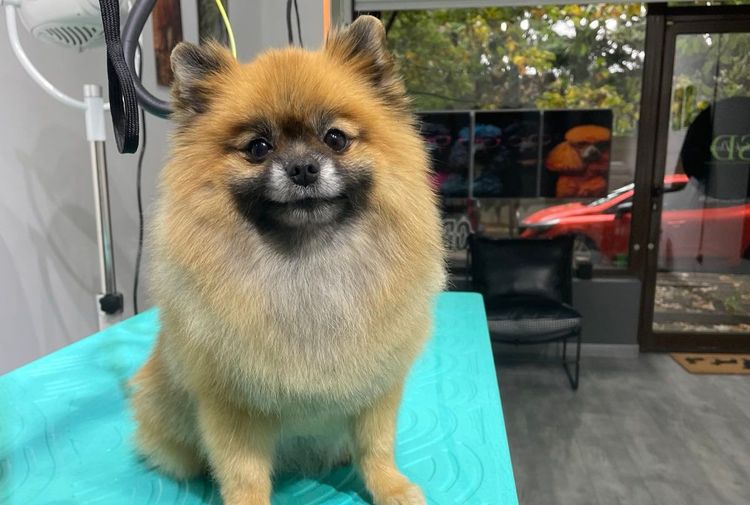 place-image-gallery-7