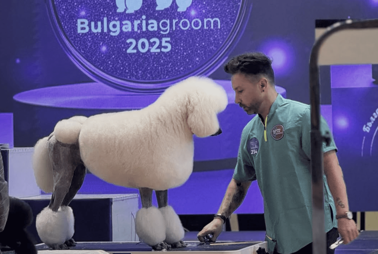 place-image-gallery-7